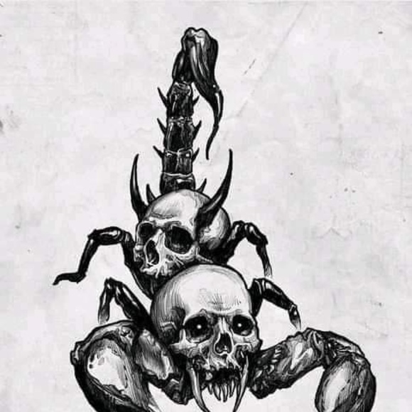 Meet your Posher, Jim - Picture 1 of 1